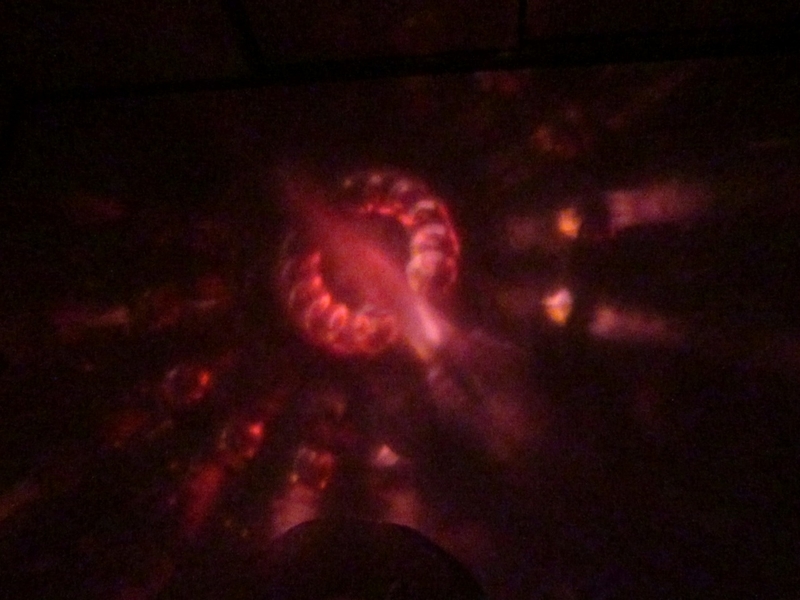 f:id:hanahirako:20200426001444j:plain