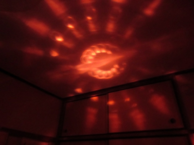 f:id:hanahirako:20200426001517j:plain