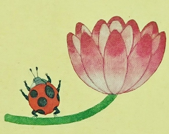 マルマくんかえるになる　てんとうむしとはすの花
