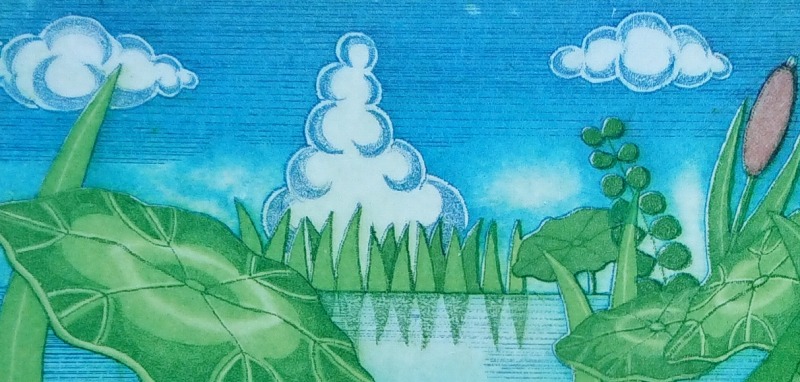 マルマくんかえるになる空の絵