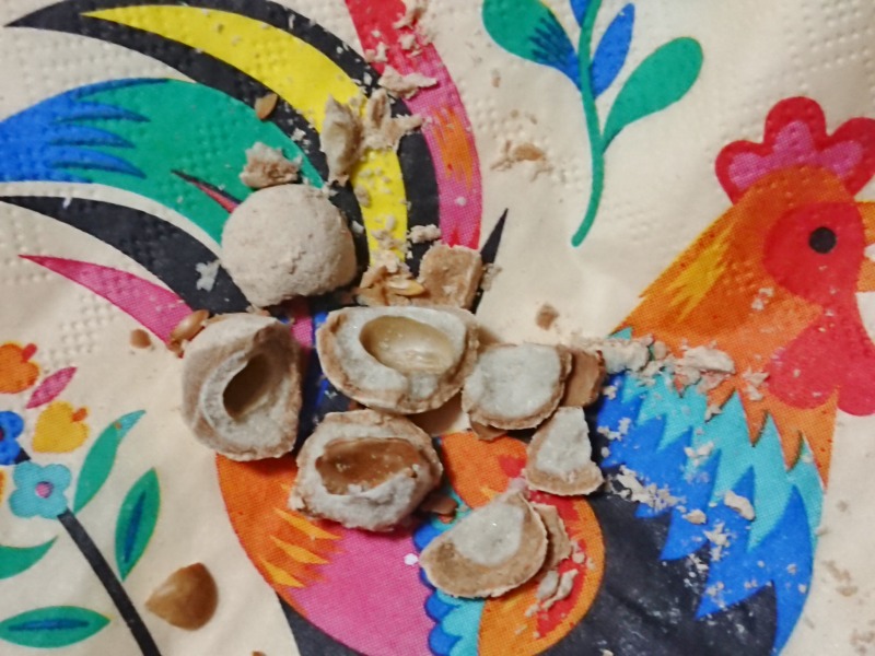 きな粉大豆のお菓子を砕いたところ