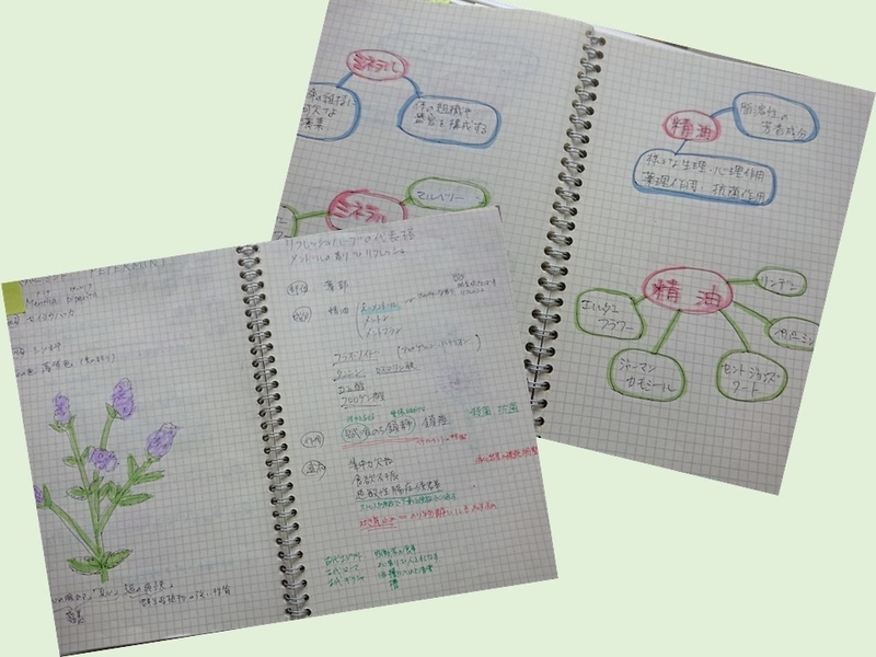 ハーブ検定のノート