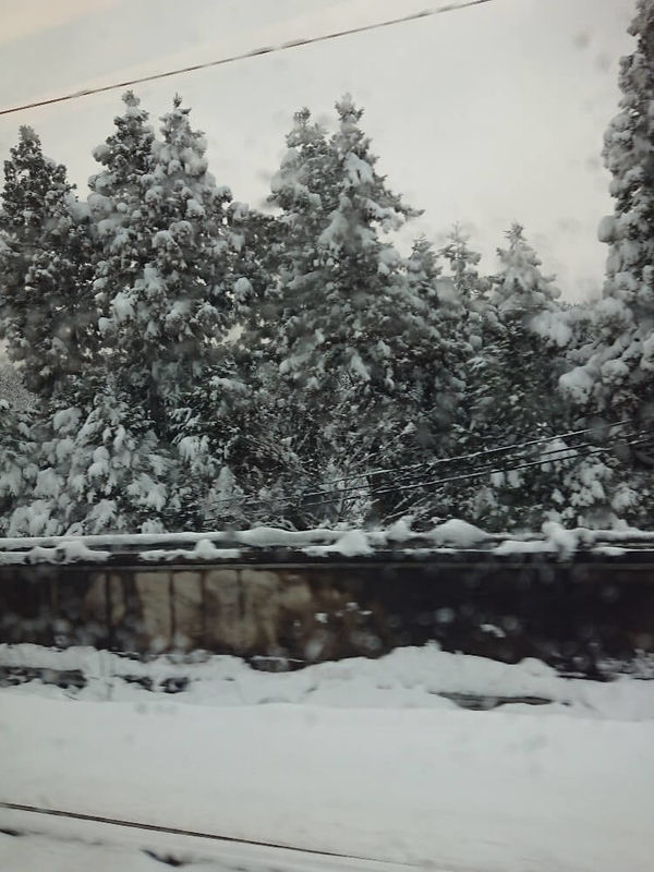 新幹線からの景色4