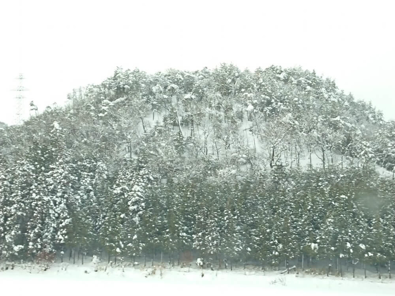 新幹線からの景色5