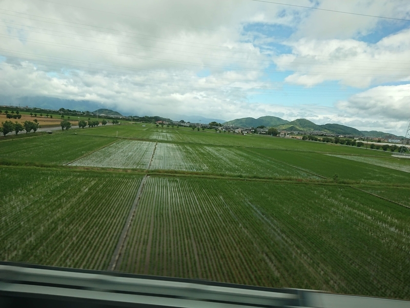 水田風景