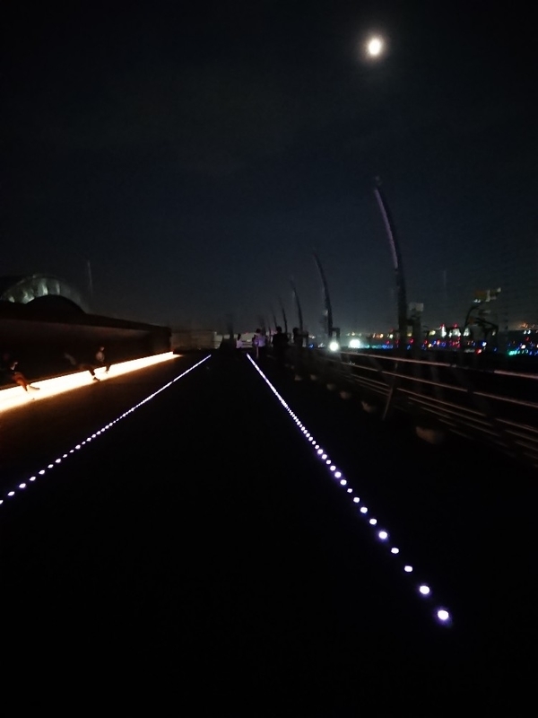 展望デッキのライト