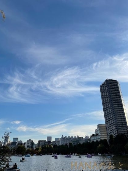 不忍池とボートと空