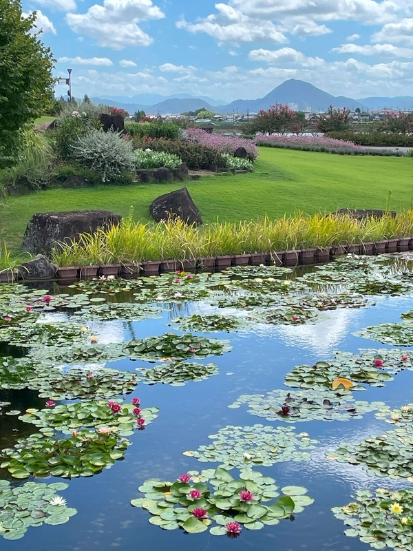 水生植物公園１