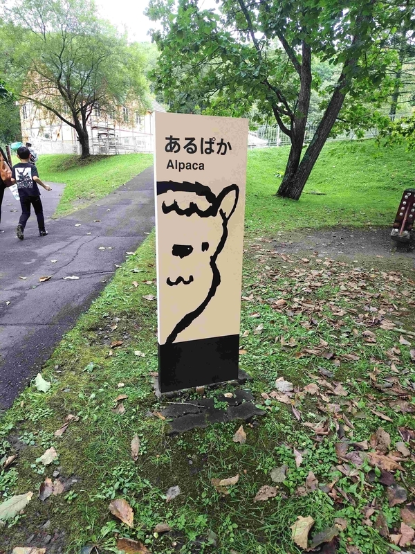 アルパカ