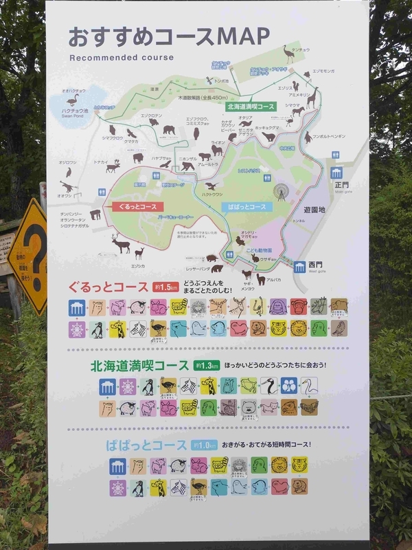 コース案内