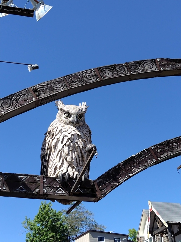 翼を閉じたフクロウ