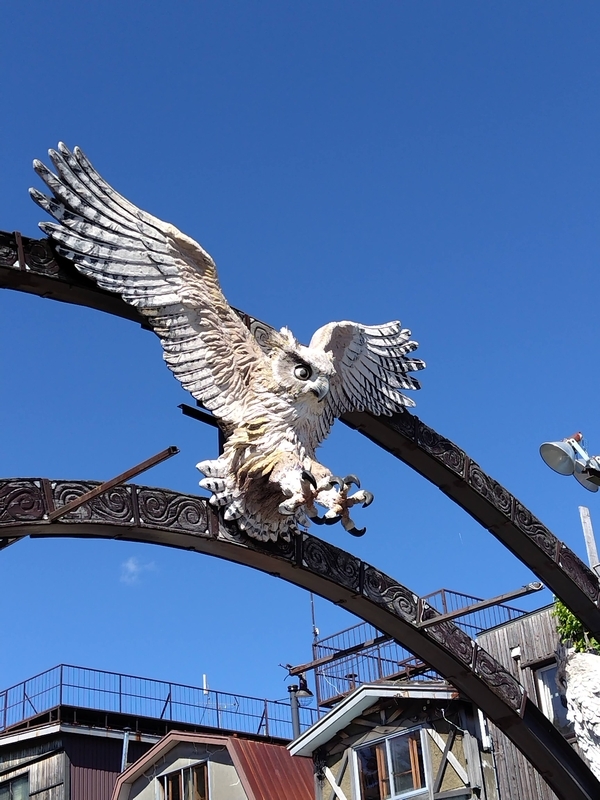 翼を広げたフクロウ