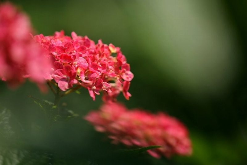 https://cdn-ak.f.st-hatena.com/images/fotolife/h/hanaibuki/20191010/20191010152421.jpg