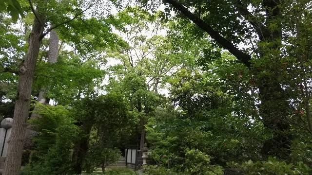 宮山神社の左サイド