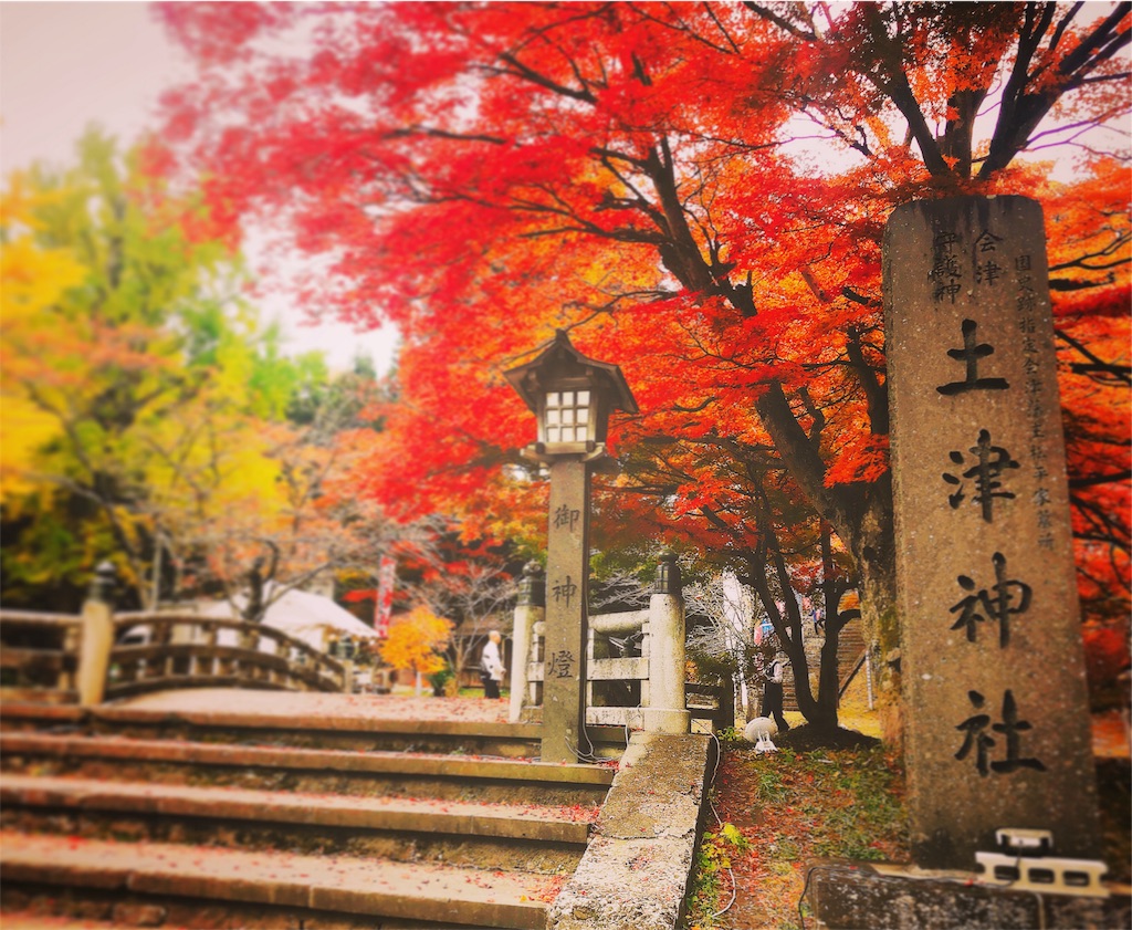 f:id:hanak50kamoto:20181112102128j:image