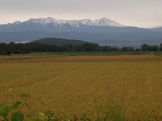 f:id:hanakago:20190924184735j:plain f:id:hanakago:20190924184735j:plain