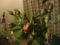薔薇を生け花に