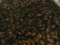 2010-05-28 夜