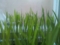 20100607182235