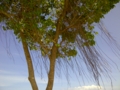 f:id:hanakama:20120205143403j:image:medium