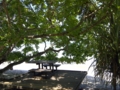 f:id:hanakama:20120205145823j:image:medium