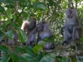 f:id:hanakama:20120205150646j:image:medium