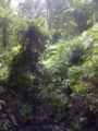 f:id:hanakama:20120205153748j:image:medium