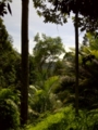 f:id:hanakama:20120205161659j:image:medium