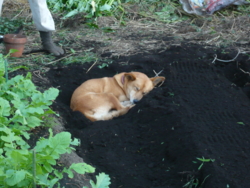f:id:hanakama:20121006171511j:image