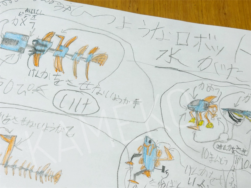 f:id:hanakameko:20230531140228j:image