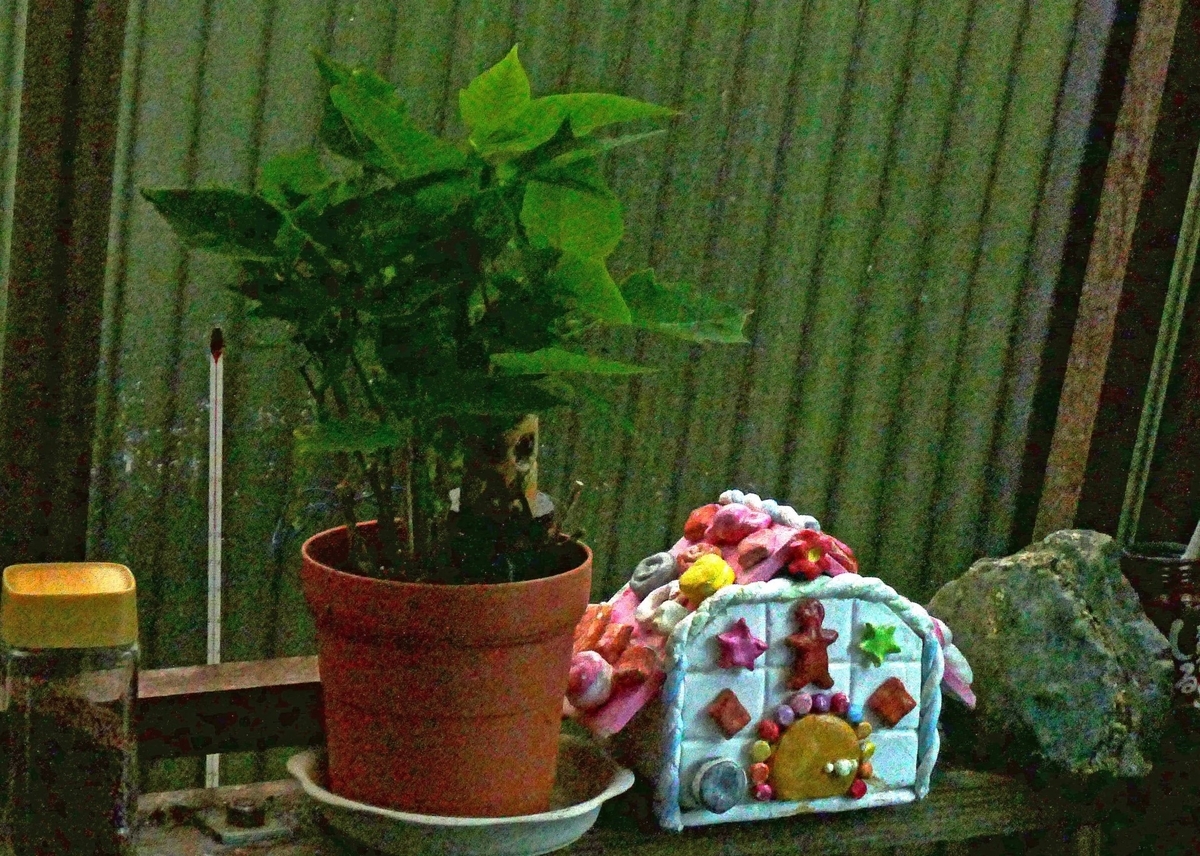 f:id:hanakanzashi87:20191218161204j:plain