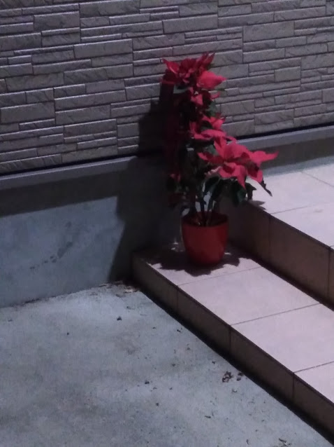 f:id:hanakanzashi87:20200109110118j:plain