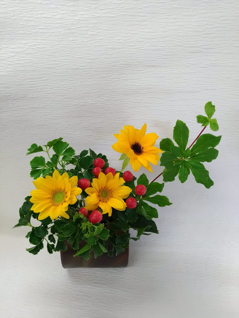 f:id:hanakanzashi87:20200525152121j:plain
