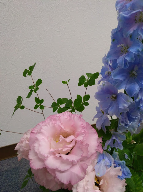 f:id:hanakanzashi87:20200608164519j:plain