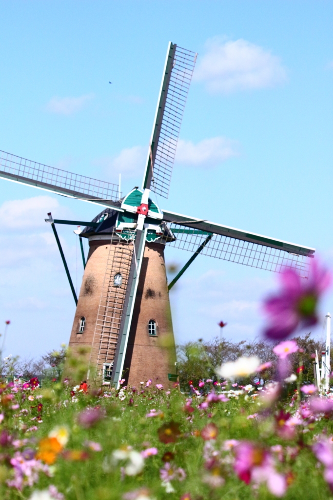 f:id:hanakasumi:20180528001301j:plain