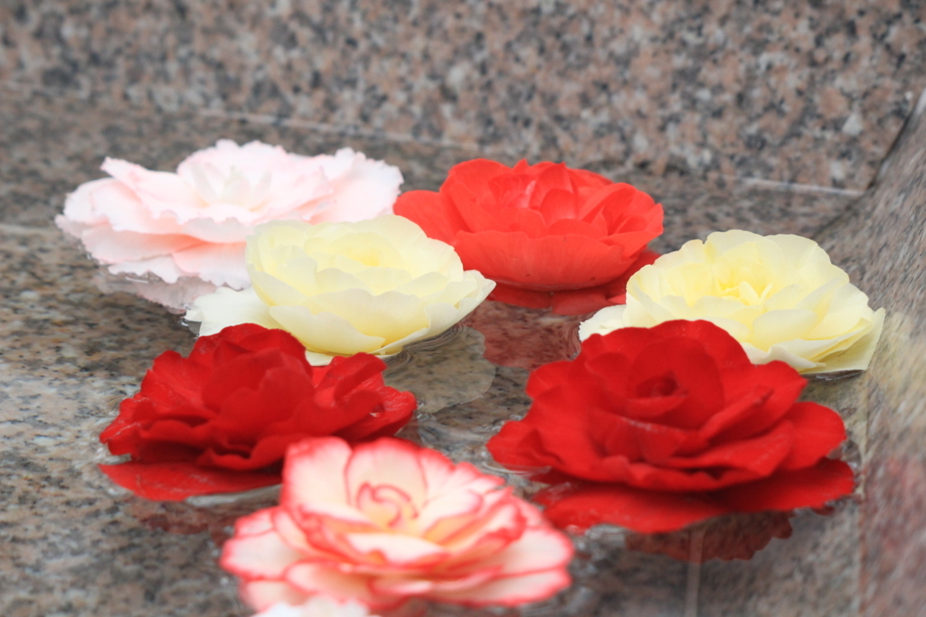 f:id:hanakasumi:20180721210328j:plain