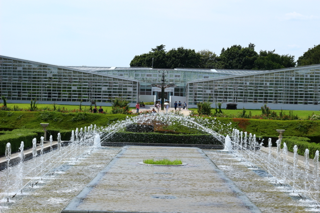 f:id:hanakasumi:20180824230827j:plain