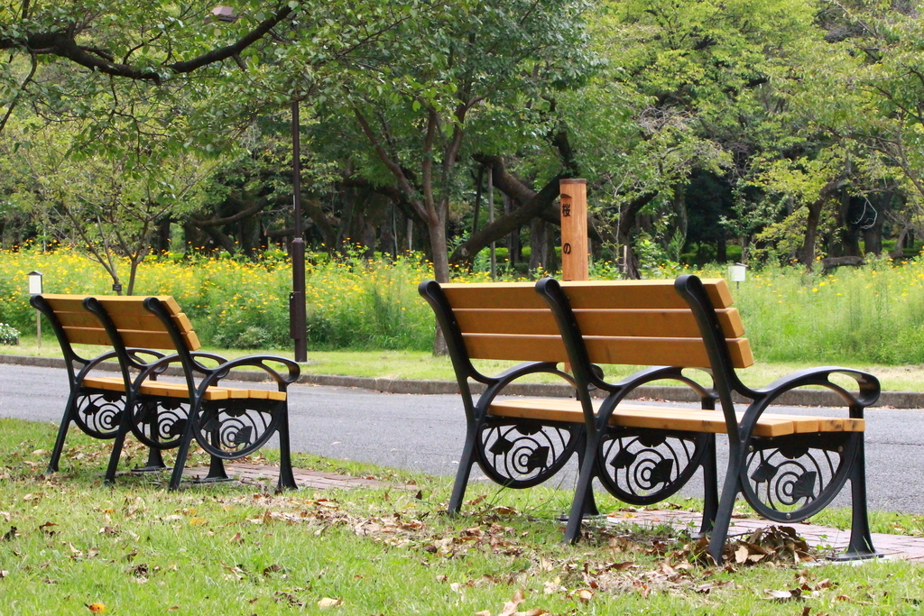 f:id:hanakasumi:20180916081041j:plain