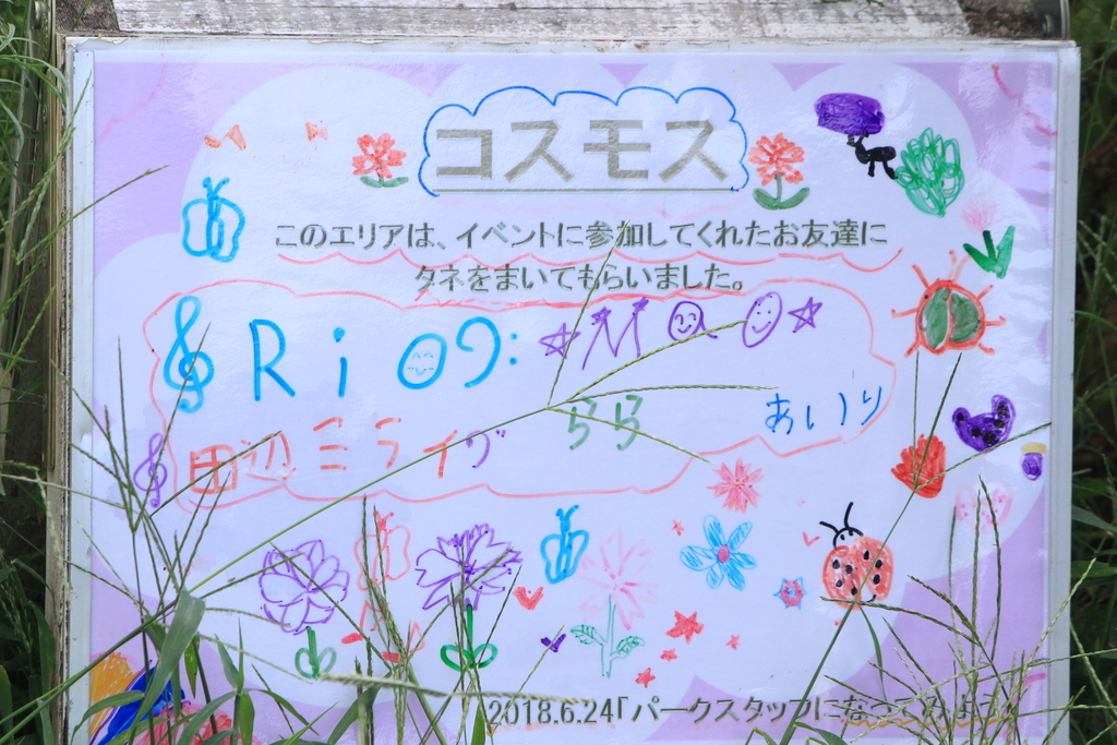 f:id:hanakasumi:20180923235840j:plain