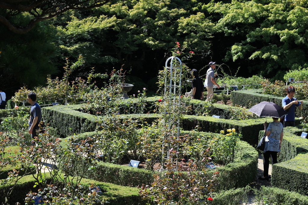 f:id:hanakasumi:20181008000552j:plain