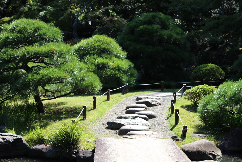 f:id:hanakasumi:20181008003145j:plain