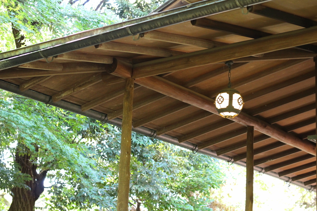 f:id:hanakasumi:20181008004852j:plain