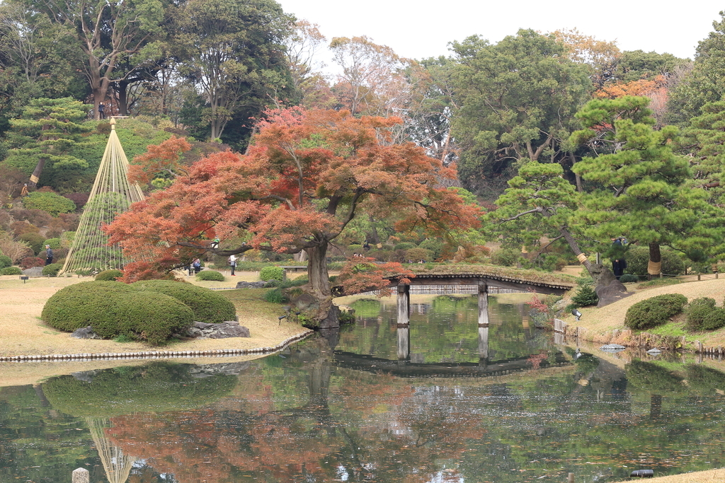 f:id:hanakasumi:20181205200703j:plain