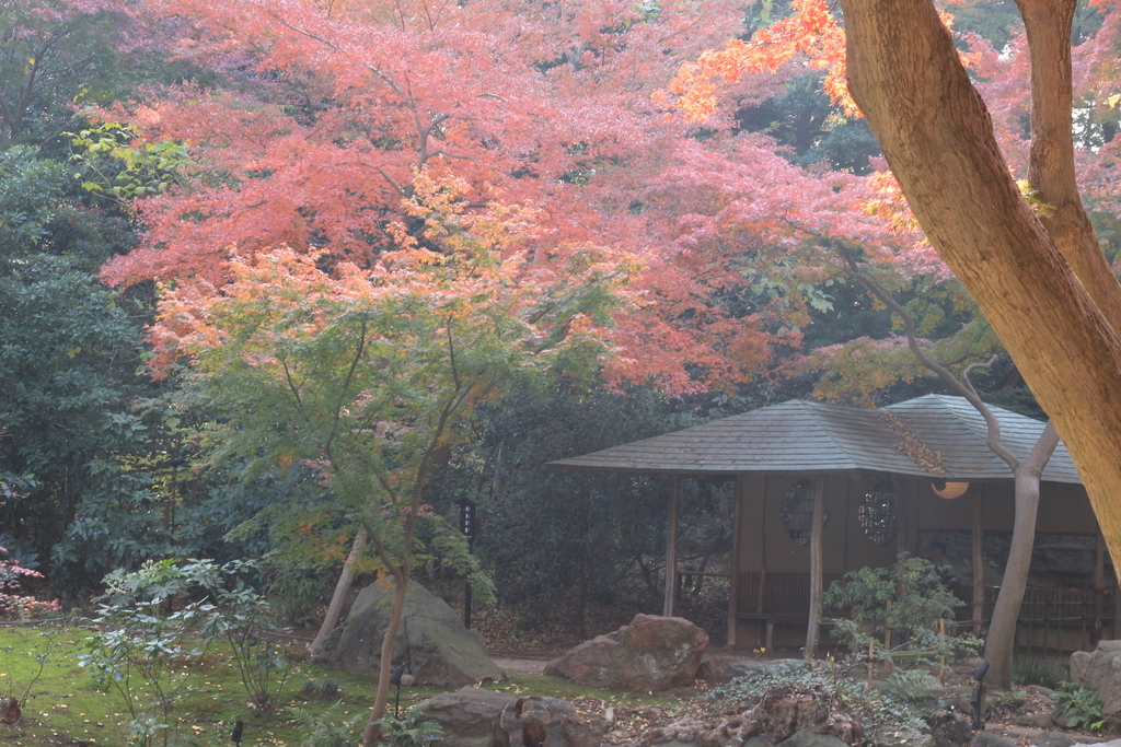 f:id:hanakasumi:20181205201021j:plain