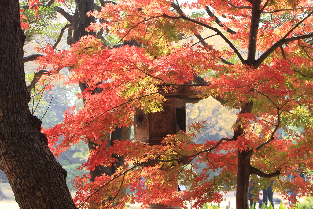 f:id:hanakasumi:20181205201715j:plain