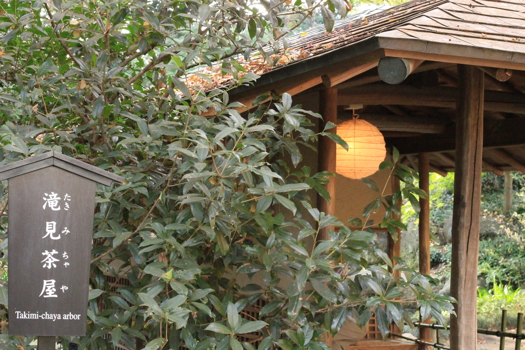 f:id:hanakasumi:20181205201917j:plain