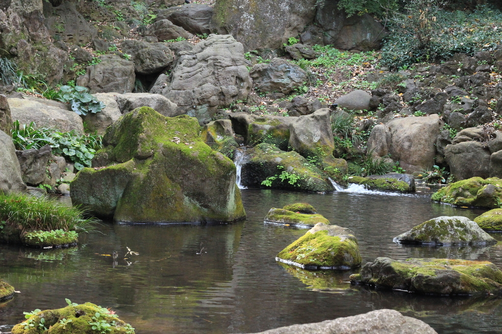 f:id:hanakasumi:20181205202008j:plain