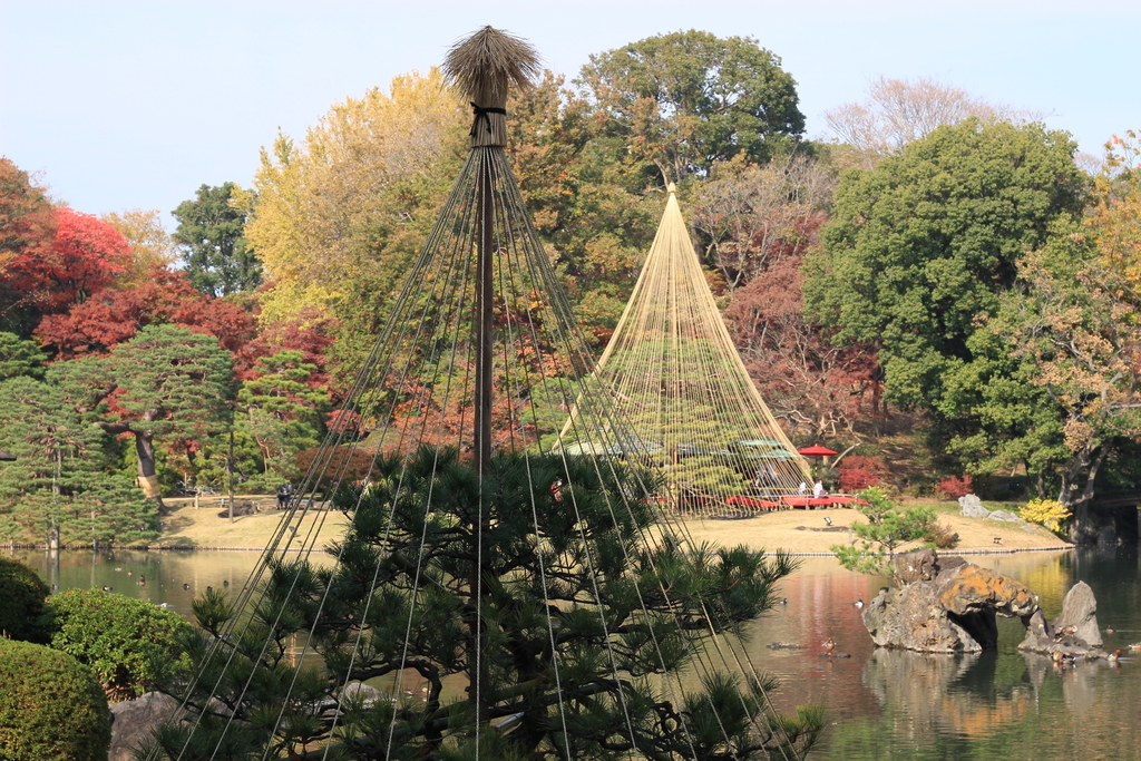 f:id:hanakasumi:20181205202706j:plain