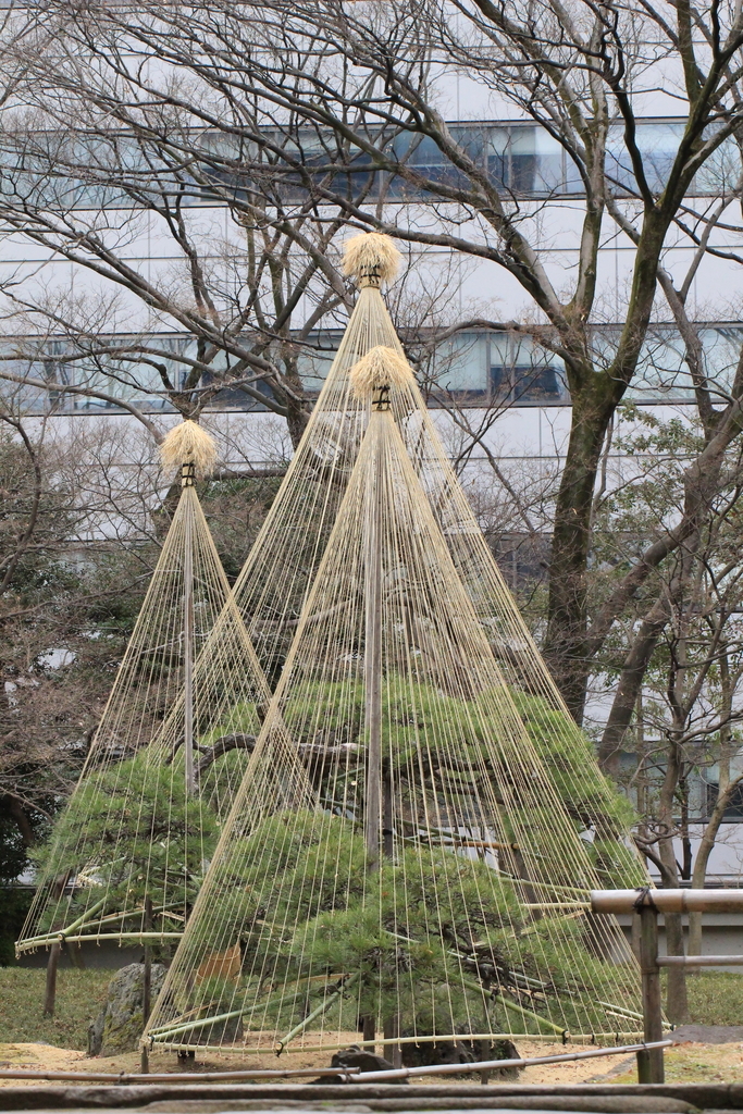 f:id:hanakasumi:20190112132533j:plain f:id:hanakasumi:20190112132533j:plain