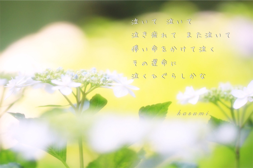 f:id:hanakasumi:20190723083245j:image